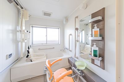 Accessible Bath Solutions detail